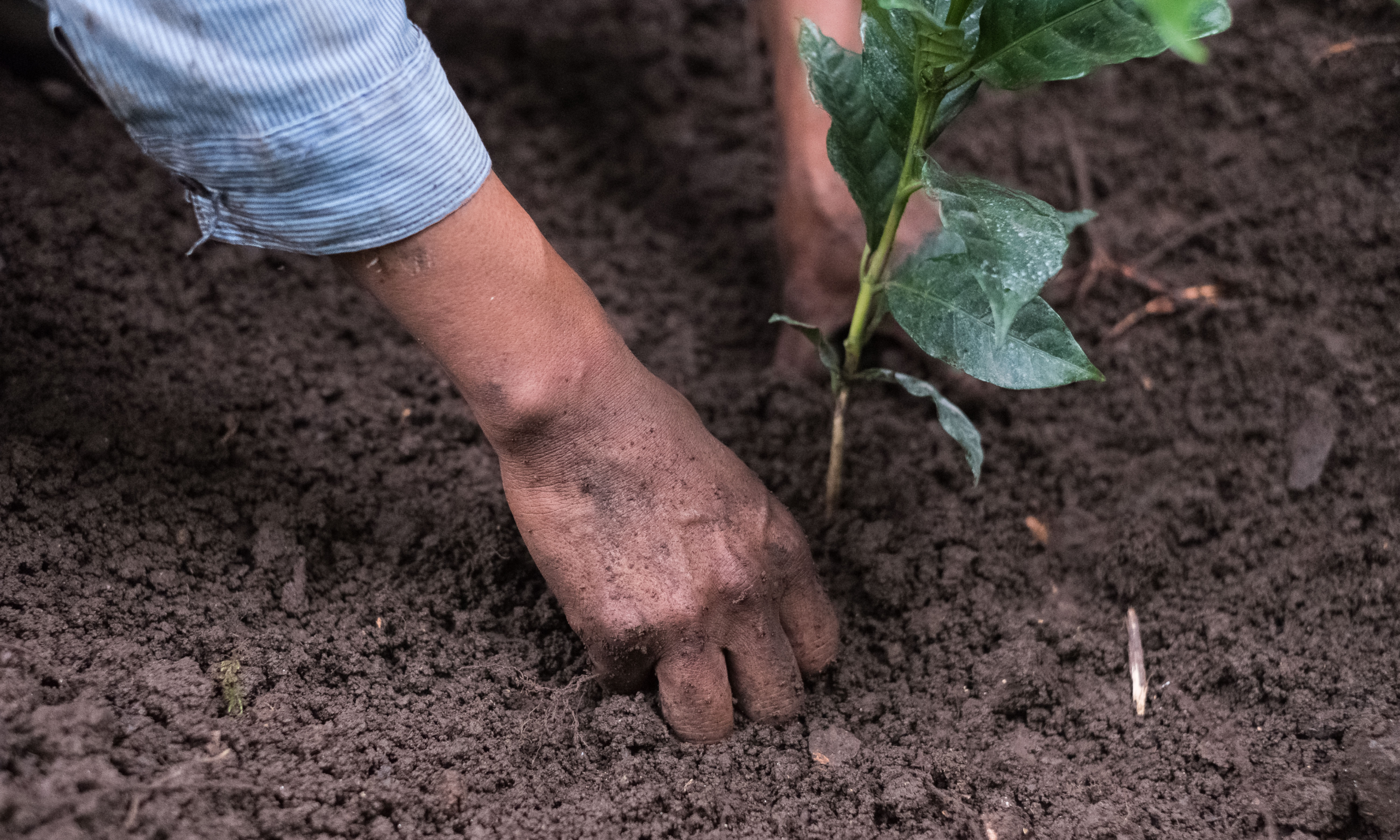 Coisas boas estão acontecendo